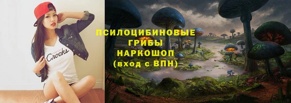 амф Белоозёрский